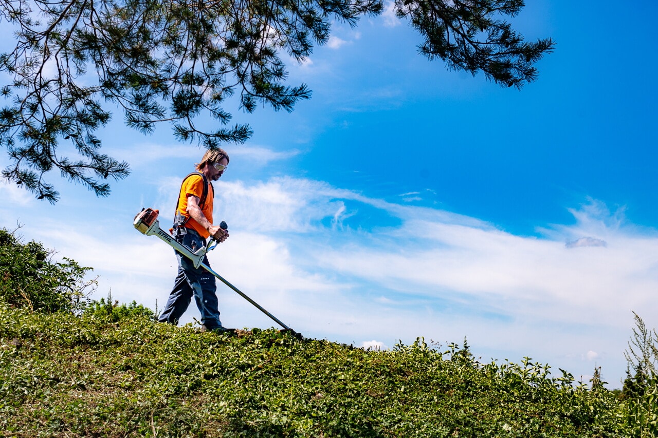 Fachgerechte Gartenpflege in Mistelbach buchen