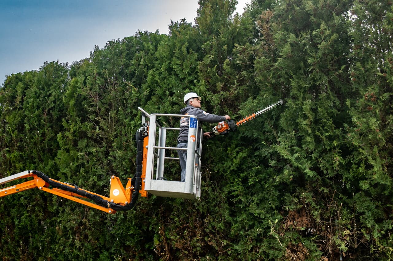Fachgerechte Gartenpflege in Mistelbach buchen